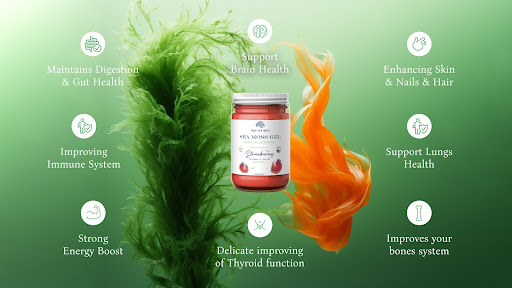 8 Reasons Why Sea Moss Is Good for You